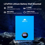 Sungold 5.12KWH Wall-mounted LiFePO4 Lithium Battery SG48100M UL1973