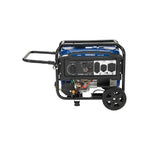 Powerhorse Generator | 4500 Surge Watt | Dual Fuel | Recoil Start 6075716