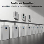 Sungold Wall-mounted X LiFePO4 LITHIUM BATTERY 10.24kWh 51.2V 200AH SG48200T