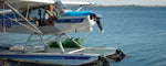 Sea Eagle 375fc FoldCat™ Pontoon Boat 375FCK