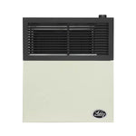 Ashley 11,000 BTU Direct Vent Natural Gas Wall Heater DVAG11N