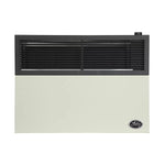 Ashley 17,000 BTU Direct Vent Wall Heater DVAG17L