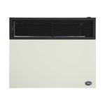 Ashley 25,000 BTU Direct Vent Wall Heater DVAG30L