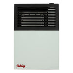 Ashley 8,000 BTU Direct Vent Wall Heater DVAG8L