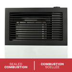 Ashley 8,000 BTU Direct Vent Wall Heater DVAG8L