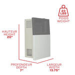 Ashley 8,000 BTU Direct Vent Wall Heater DVAG8L