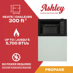 Ashley 8,000 BTU Direct Vent Wall Heater DVAG8L
