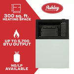 Ashley 8,000 BTU Direct Vent Wall Heater DVAG8L