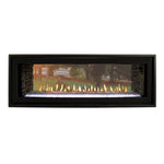 American Hearth 48" Linear Boulevard Direct Vent See Through Fireplace DVLL48SP90