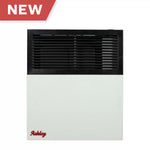 Ashley 11,000 BTU Direct Vent Dual Fuel Wall Heater DVAG11-DF