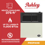 Ashley 11,000 BTU Direct Vent Propane Wall Heater DVAG11L