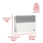Ashley 17,000 BTU Direct Vent Wall Heater DVAG17L