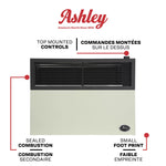Ashley 17,000 BTU Direct Vent Wall Heater DVAG17L