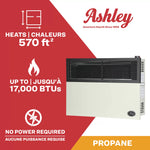 Ashley 17,000 BTU Direct Vent Wall Heater DVAG17L