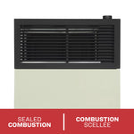 Ashley 11,000 BTU Direct Vent Natural Gas Wall Heater DVAG11N