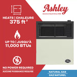 Ashley 11,000 BTU Direct Vent Natural Gas Wall Heater DVAG11N