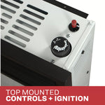 Ashley 11,000 BTU Direct Vent Dual Fuel Wall Heater DVAG11-DF