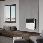 Ashley 11,000 BTU Direct Vent Dual Fuel Wall Heater DVAG11-DF
