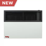Ashley 17,000 BTU Direct Vent Wall Heater DVAG17L