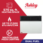 Ashley 17,000 BTU Direct Vent Dual Fuel Wall Heater DVAG17-DF