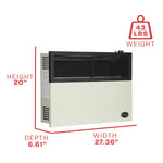 Ashley 17,000 BTU Direct Vent Wall Heater DVAG17L