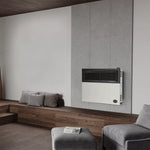 Ashley 17,000 BTU Direct Vent Wall Heater DVAG17L