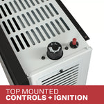 Ashley 25,000 BTU Direct Vent Dual Fuel Wall Heater DVAG25-DF
