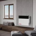 Ashley 25,000 BTU Direct Vent Dual Fuel Wall Heater DVAG25-DF