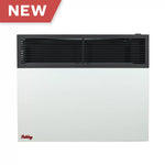 Ashley 25,000 BTU Direct Vent Dual Fuel Wall Heater DVAG25-DF