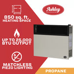 Ashley 25,000 BTU Direct Vent Wall Heater DVAG30L