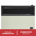 Ashley 25,000 BTU Direct Vent Wall Heater DVAG30L