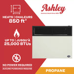 Ashley 25,000 BTU Direct Vent Wall Heater DVAG30L