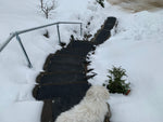 HeatTrak Heated Snow & Ice Melting Stair Mat - 10"x30" HR10-30
