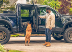 Amp Research PowerStep; 2025 F-150 5.0L SuperCrew Search 76152-01A