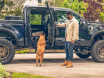 Amp Research PowerStep; 2025 Ram 1500 Crew Cab Search 76364-01A