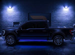 Amp Research PowerStep Vision; F-150 Search 96152-01A