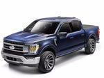 Amp Research PowerStep Vision; F-150 Search 96152-01A
