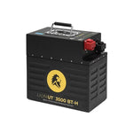 Lion Energy UT 3500 BT-H 50170186