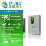 Nature's Generator Lithium 6000 and Transfer Switch NGLGNSXPA