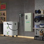 Nature's Generator 125A Automatic Transfer Switch NGA12532448W