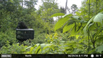 Orion 750lbs -  Orion Modular Stand and Fill Deer Feeder