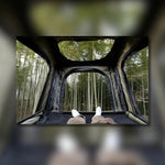 Naturnest Polaris 2 W2291P455228