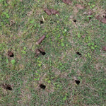 Classen 30" Pro Stand On Aerator SA-30A