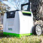 Nature's Generator Gold - WE System HKNGAUWE