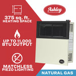 Ashley 11,000 BTU Direct Vent Natural Gas Wall Heater DVAG11N