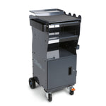Beta CA49-G Multi-Purpose Portable Tool Trolley Diagnostic Cart with Door, Grey CA49-G